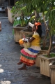 2013-10_CubaActive_B (8)
